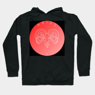 ARIES ZS Hoodie